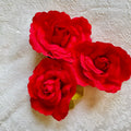 ROSAS rojas