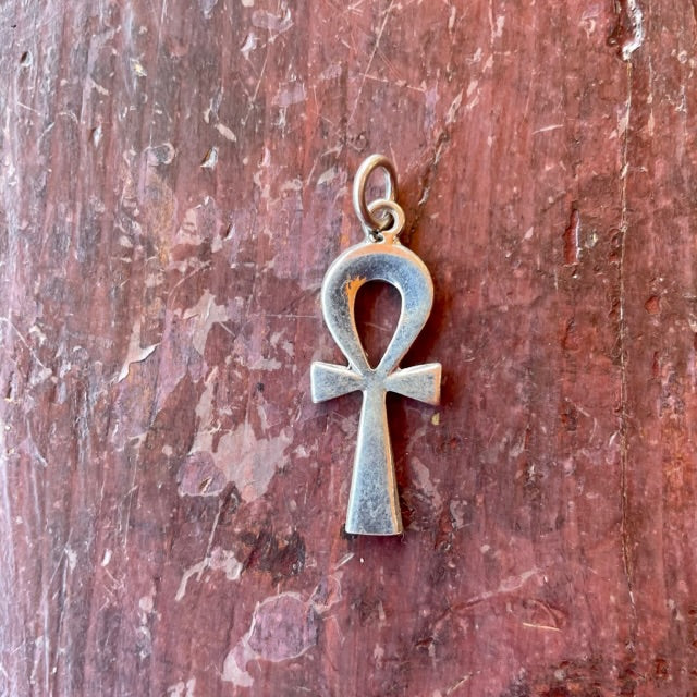 Llave de la vida grande